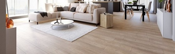 台中老屋地板傳統架高工法示意圖